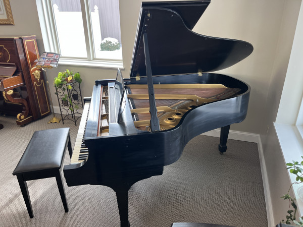 1959 Steinway Model L grand piano - Grand Pianos